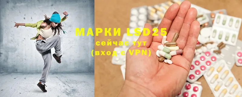 ЛСД экстази ecstasy  Каменка 